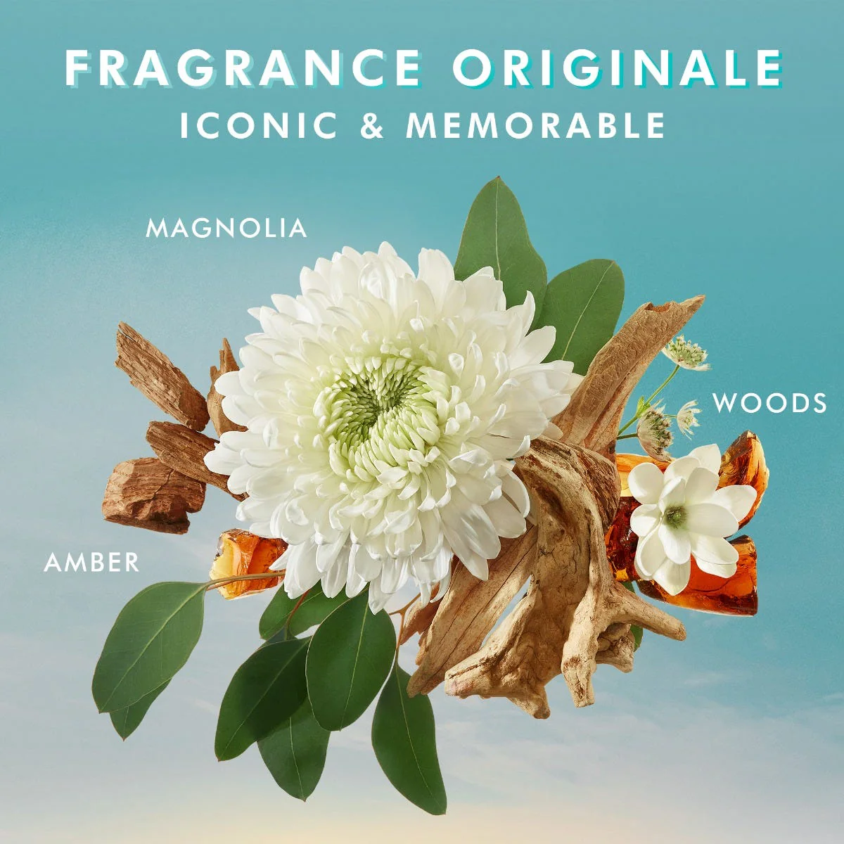 Body Lotion Fragrance Originale - Image 5