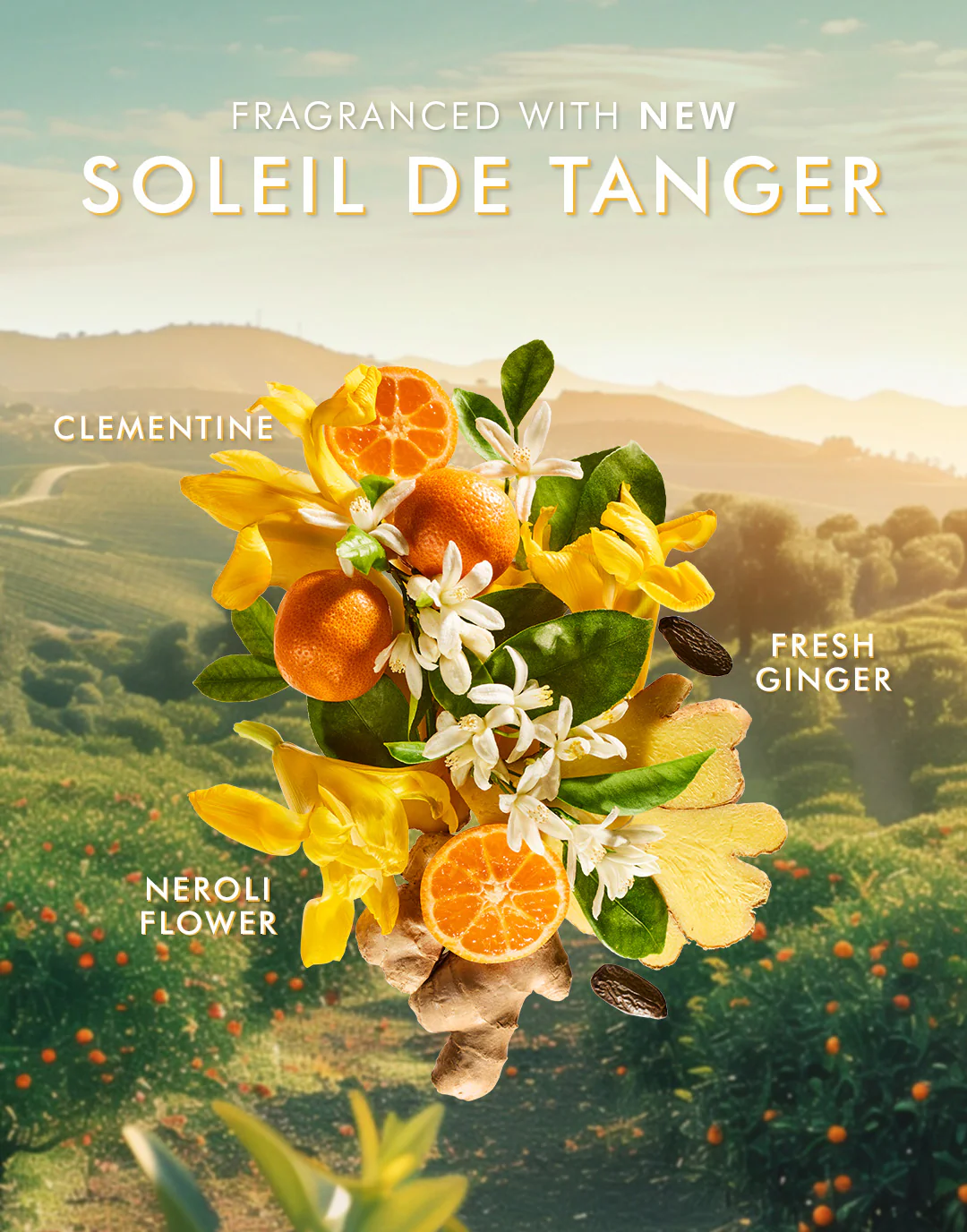 Body Lotion Soleil de Tanger - Image 4
